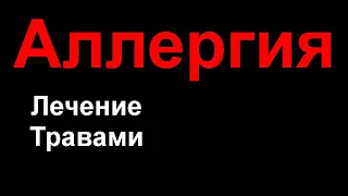 Тысячелистник от АЛЛЕРГИИ как его правильно заварить и принимать? Аллергия угасает? Это невероятно