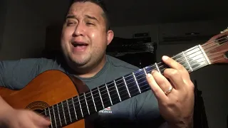 Alejandro Fernández - Me dedique a perderte (Cover)