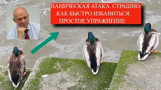 Паническая атака, страшно. Как быстро избавиться. Простое Упражнение.