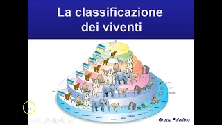 La classificazione dei viventi