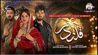 Qalandar Episode 37 - [Eng Sub] - Muneeb Butt - Komal Meer - Ali Abbas - 11th Feb 2023 - HAR PAL GEO