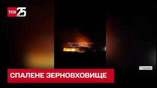 Рашисти знищили зерносховище на Одещині під час нічного обстрілу