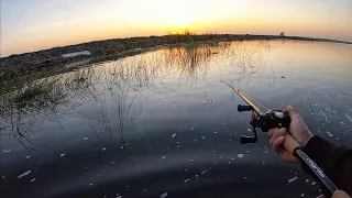 The BEST TIDE to catch Bass on the Delta