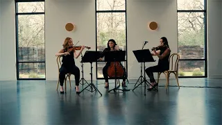 Lover, Taylor Swift - Sienna String Quartet & Hype Rhythm