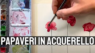 Poppy in watercolor - tutorial for beginners