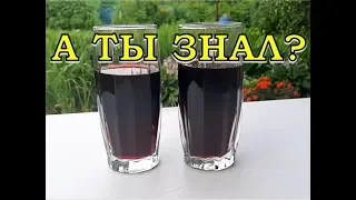 Домашнее ВИШНЕВОЕ ВИНО. Самый вкусный рецепт🍒👍👍👍