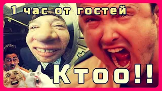 1 час крика Кто-о-о-о!!!  От распространителей и коллекторов. Taron TV #2часовые