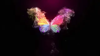 Футаж бабочка