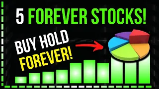 5 Best High Yield Dividend Stocks To BUY & HOLD Forever!