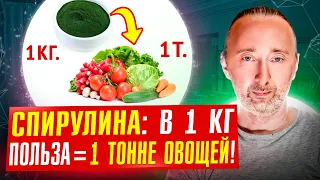 СПИРУЛИНА: самый питательный продукт на планете! Зачем ЕЁ давали КОСМОНАВТАМ? Как и какую надо есть?