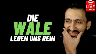 Wale schauen auch YOUTUBE !?