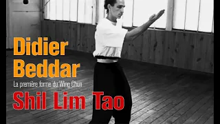 Maitre Didier Beddar - Shil lim Tao, la premiere forme du Wing Chun