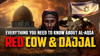 This Red Cow is The End of Al-Aqsa and Beginning of Dajjal