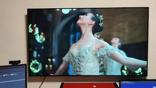 TEST NA WYPALENIE LG OLED BX 2020 #12 BURN IN 3 miesiące 10h/7