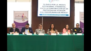 EN VIVO / Conversatorio “El Duelo por Muerte Gestacional y Perinatal”