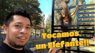 Tocamos un Rinoceronte y un Elefante en el Parque Ecológico Zacango