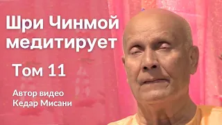 "Шри Чинмой медитирует", том 11. Автор видео Кедар Мисани