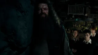 Хагрид рассказывает Гарри Гермионе и Рону о борьбе с ВоланДеМортом | Гарри Поттер и Орден Феникса