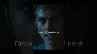 ГАЛЛИ ЗАРАЗИЛСЯ! - Бегущий в лабиринте (The Maze Runner) #short #shorts