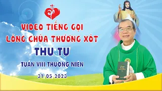 VIDEO | Tiếng Gọi Lòng Chúa Thương Xót | Thứ Tư Tuần VIII Thường Niên | 31/05/2023