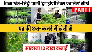 Hydroponics Farming : घर की छत-बालकनी से पैसा कमाना सीखें | Learn Hydroponics Farming in Hindi |