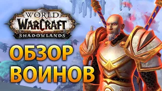 Безумный нарезатель! Обзор воина, Shadowlands Alpha [Армс, Фури, Прот]