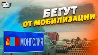 Россияне массово бегут в Монголию из-за мобилизации. Очереди километровые