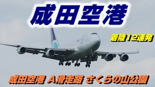 【4K】成田空港 さくらの山公園より着陸する飛行機12連発