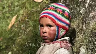 "Huajcha Puquito" - huayño peruano