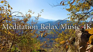 Meditation Nature Sounds, Birdsong, Forest Sounds, for Relaxation, (кукушка, пение птиц, ветерок)