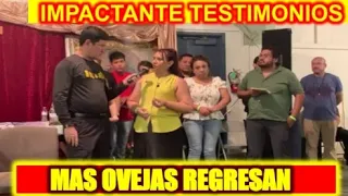 🔳 IMPACTANTE🔳 Más ovejas regresan al redil - P LUIS TORO