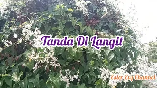 Tanda Di Langit