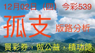 今彩539｜牛哥539｜2021年12月02日（四）今彩539孤支版路分析｜#539