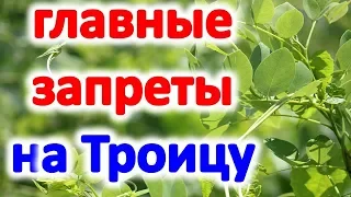 Это нельзя делать на Троицу: главные запреты праздника Святой Троицы