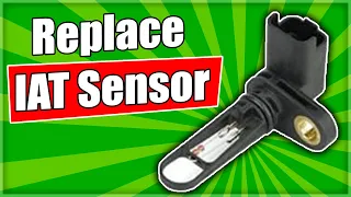 Replace IAT Intake Air Temperature Sensor - P0113