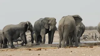 my first youtube vlog//welcome to etosha ,Nambia