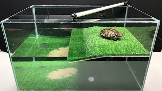 How to Make Amazing Golf House for Turtle at Home