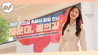 해운대 도심 속에서 전시가 열렸다고? 봄향기 가득한 전시 봄의 길 리뷰 🌷💗