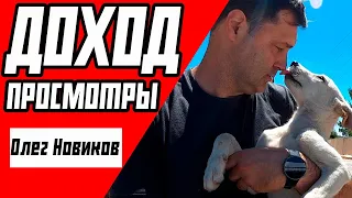 Олег Новиков - ДОХОД, ЗАРАБОТОК НА ЮТУБЕ | БУДУЩЕЕ КАНАЛА