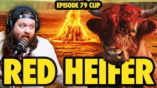 THE RED HEIFER IS BEING SACRIFICED IN ISRAEL AFTER 2000 YEARS? | NINJAS ARE BUTTERFLIES