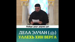 Хьехам Умар Хехоев - Делан Элчан (Делер салам маршал хилд цуьн) уллехь хин верга