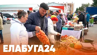 Новости Елабуги от 12 сентября 2022