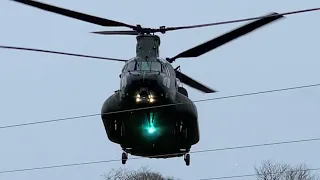 An unexpected Chinook! | 15/03/23