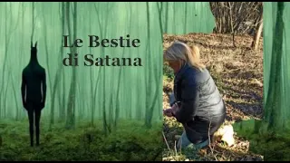 Il bosco delle  Bestie di Satana