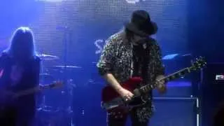 Lynyrd Skynyrd - Free Bird Slide Guitar Play (Live)