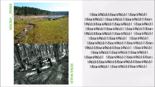 Micro_Penis – Süra Wald [FULL CD]