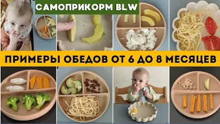 ЧЕМ НАКОРМИТЬ РЕБЕНКА от 6 до 8 месяцев 👶 САМОПРИКОРМ БЛВ 🥦🧅🥑 ПРИМЕРЫ ОБЕДОВ ДЛЯ МАЛЫША