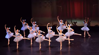 Ballet: Mistake Waltz （芭蕾：错误华尔兹）