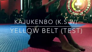 Kajukenbo Yellow Belt Test (K.s.W)