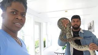 GIANT SNAKE REVENGE PRANK ON SISTERS!